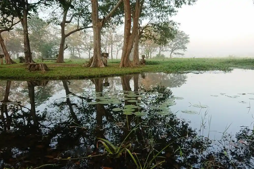 Habarana Lake