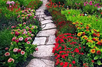 Hakgala Botanical Garden