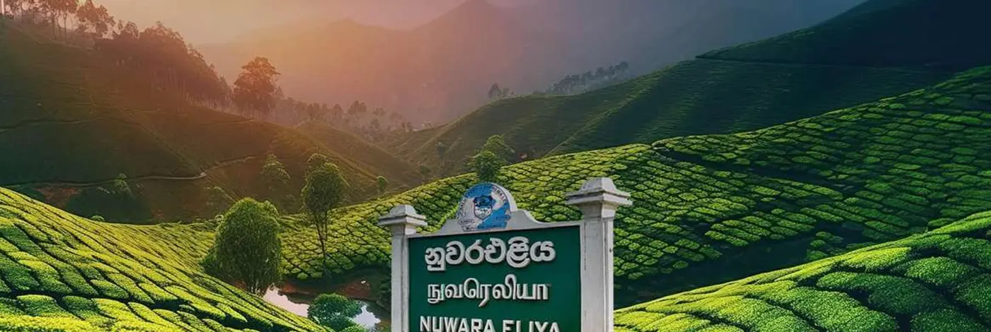 Nuwara Eliya Landscapes