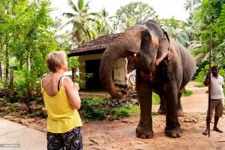 Couple Experiences Sri Lanka