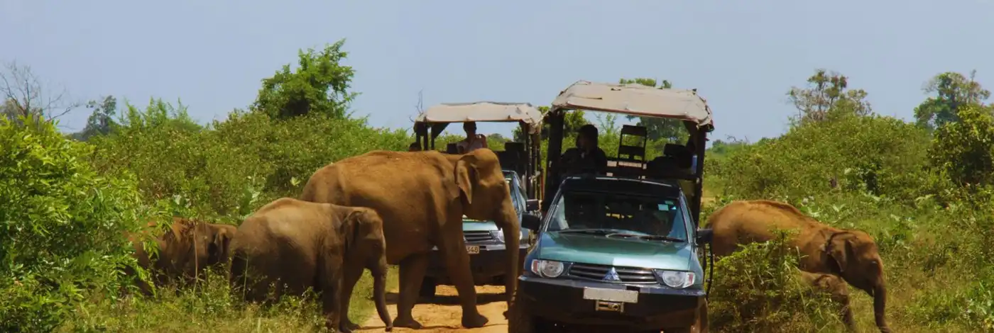 Sri Lanka Nature Tour Package